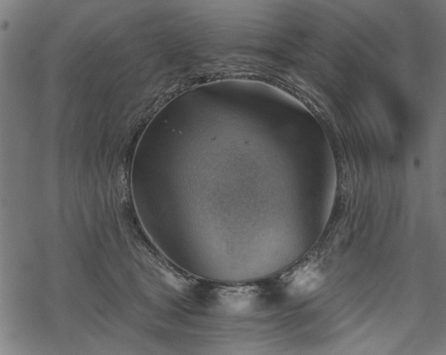 X0000068850465200605081219