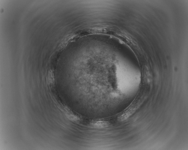 X0000068850467200605081219