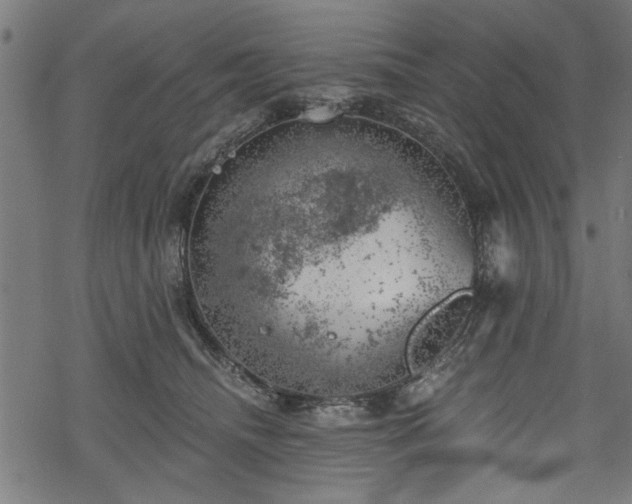 X0000068850468200605081219