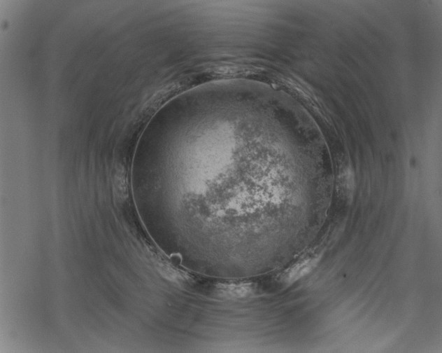 X0000068850469200605081219