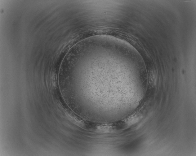 X0000068850470200605081219