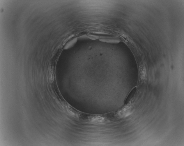 X0000068850471200605081219