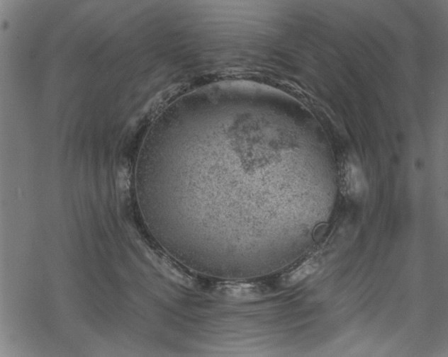 X0000068850472200605081219