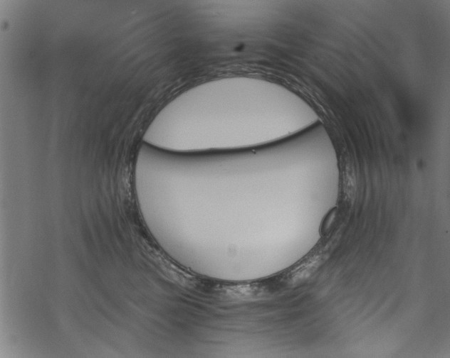 X0000068850473200605081219