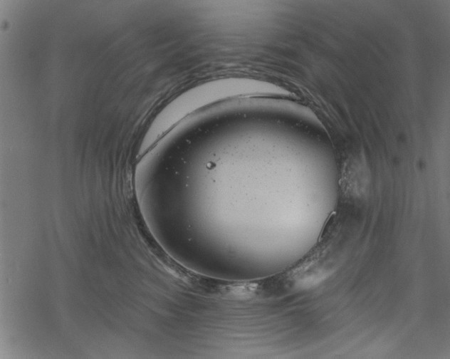 X0000068850474200605081219