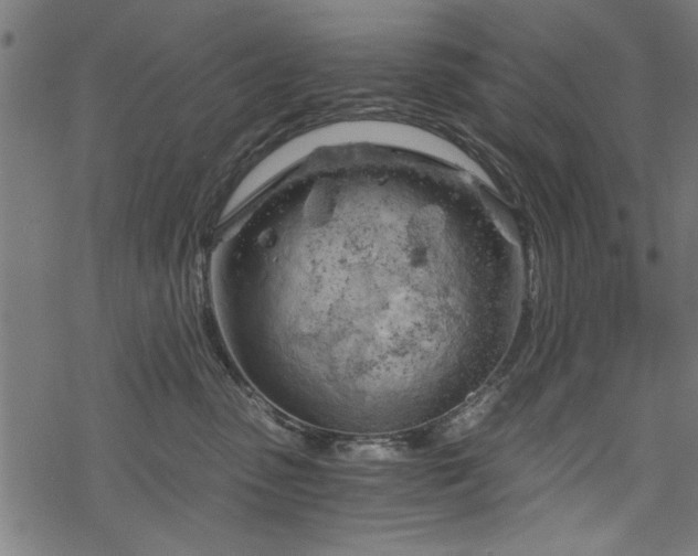 X0000068850475200605081219