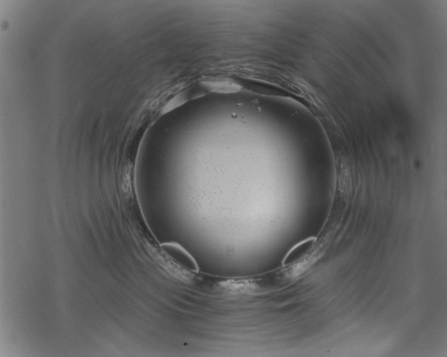 X0000068850477200605081219