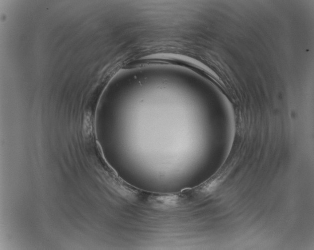 X0000068850478200605081219