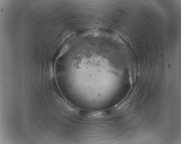 X0000068850479200605081219