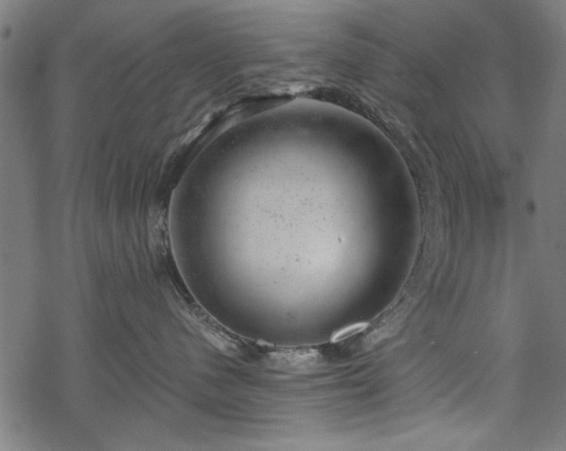 X0000068850480200605081219