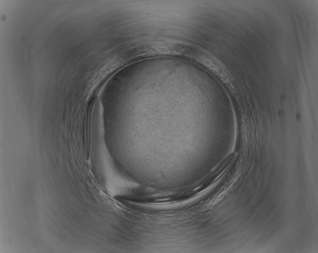 X0000068850481200605081219