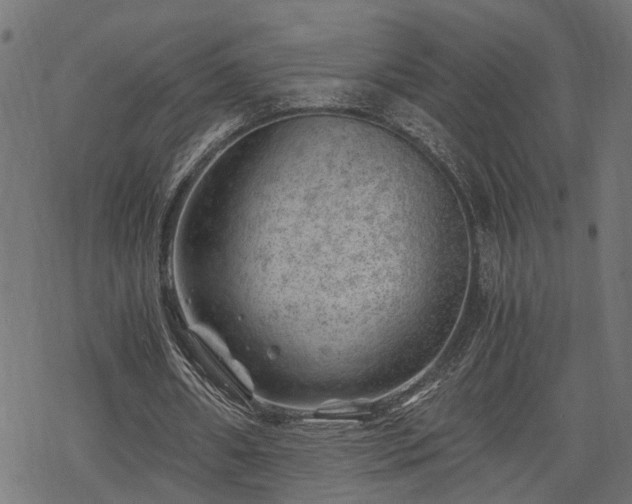 X0000068850482200605081219