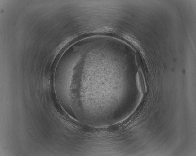 X0000068850483200605081219