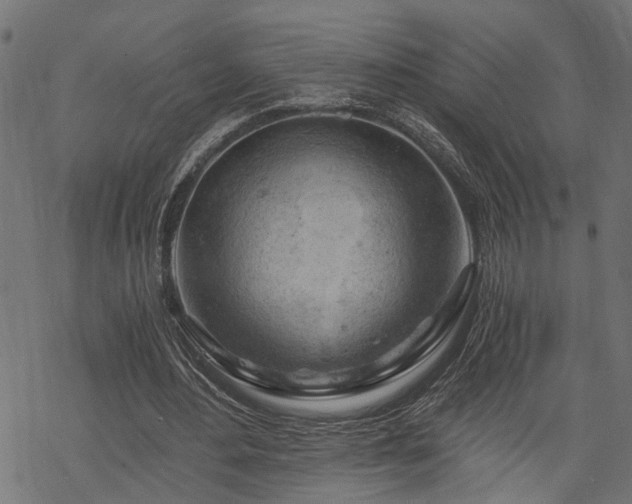 X0000068850484200605081219