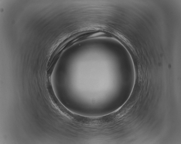 X0000068850485200605081219