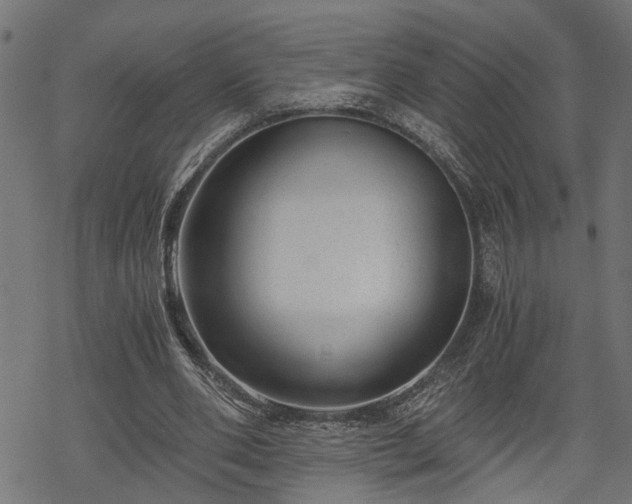 X0000068850486200605081219