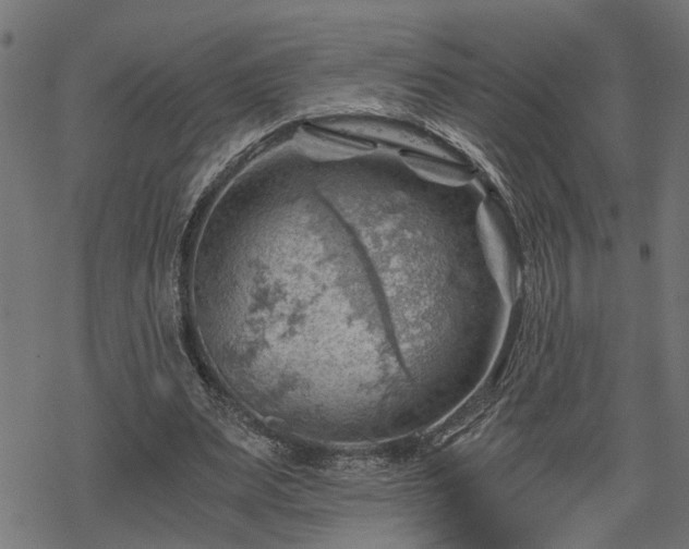 X0000068850487200605081219