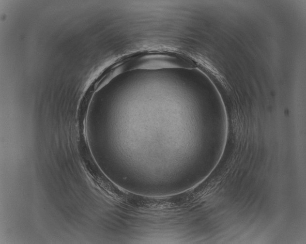 X0000068850488200605081219