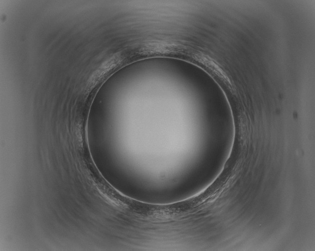 X0000068850489200605081219