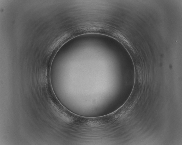 X0000068850490200605081218