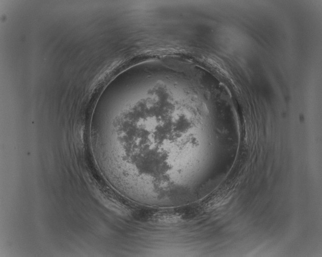 X0000068850491200605081218