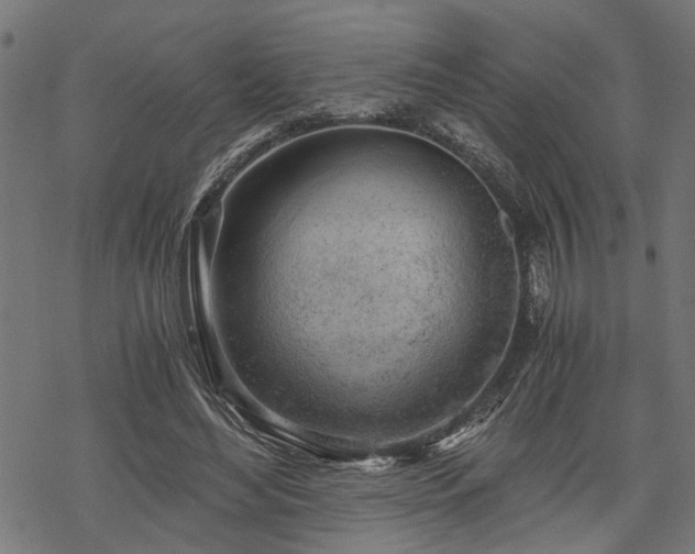 X0000068850492200605081218