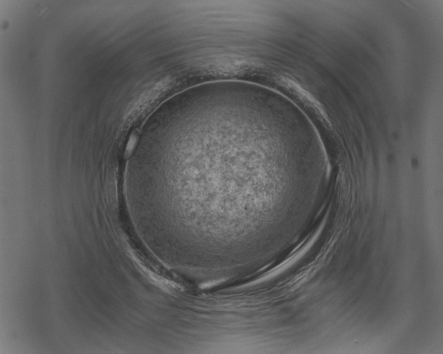 X0000068850493200605081218