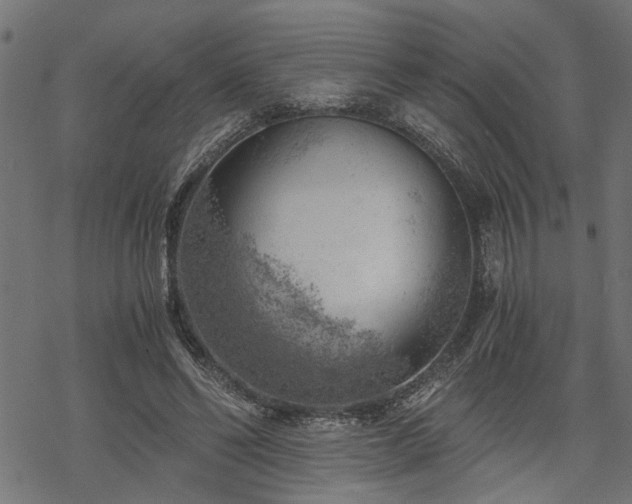 X0000068850494200605081218