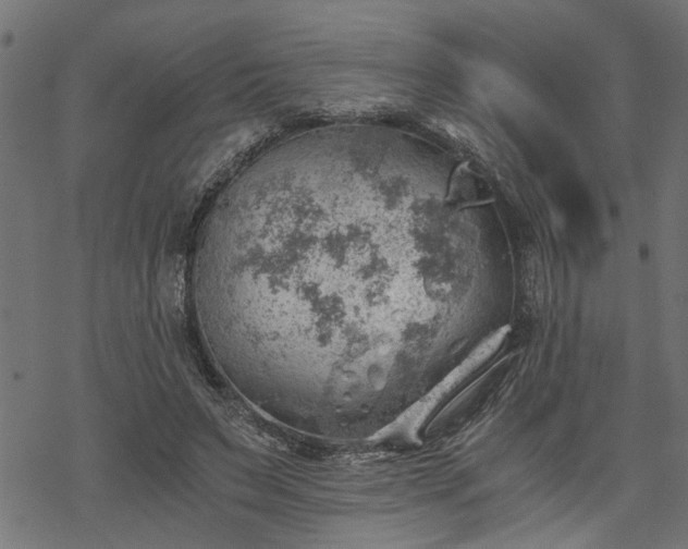 X0000068850495200605081218