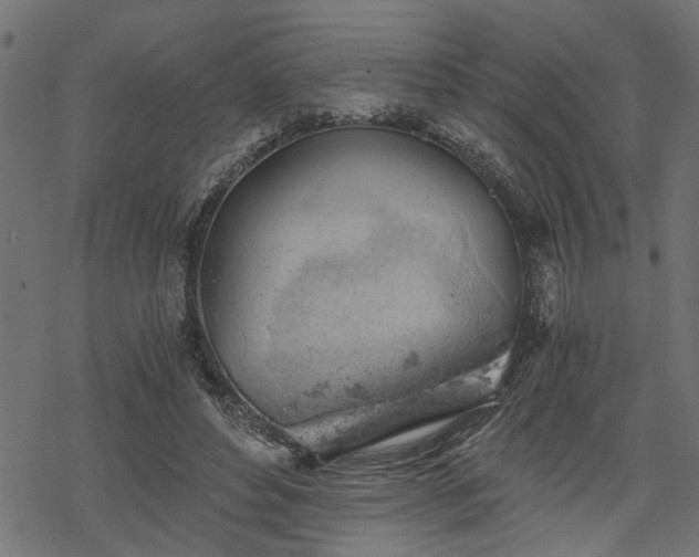 X0000068850496200605081218