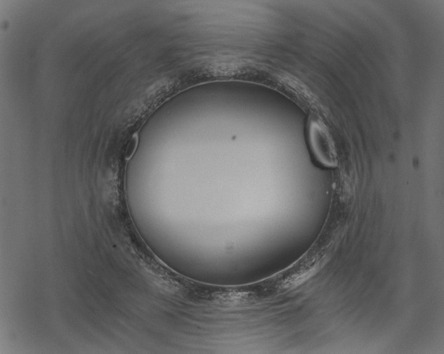 X0000068850497200605081218