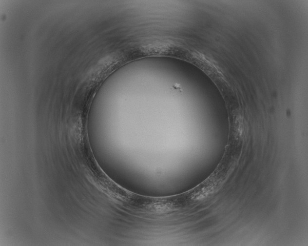 X0000068850498200605081218