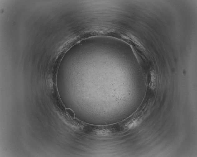 X0000068850500200605081218