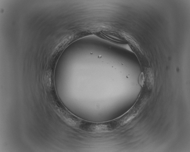 X0000068850501200605081218