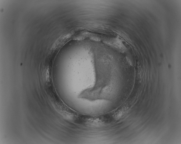 X0000068850502200605081218