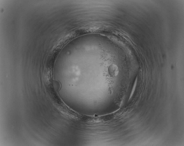 X0000068850503200605081218