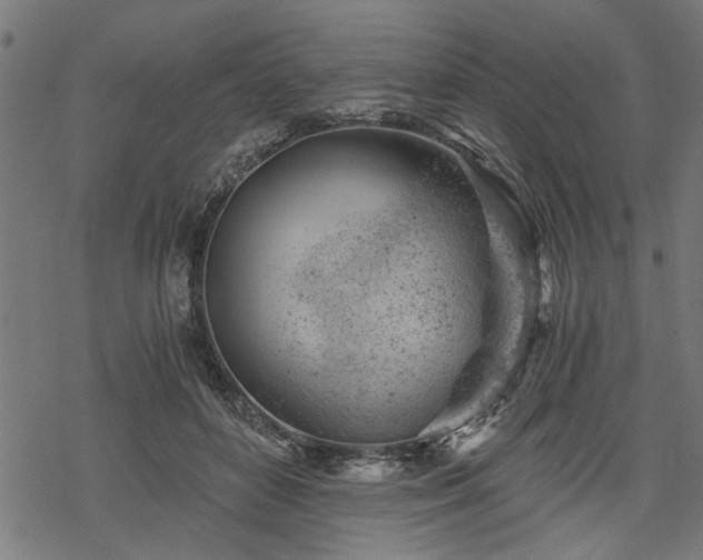 X0000068850504200605081218