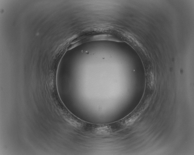 X0000068850505200605081218