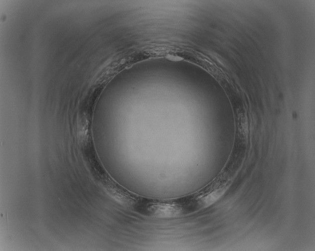 X0000068850507200605081218