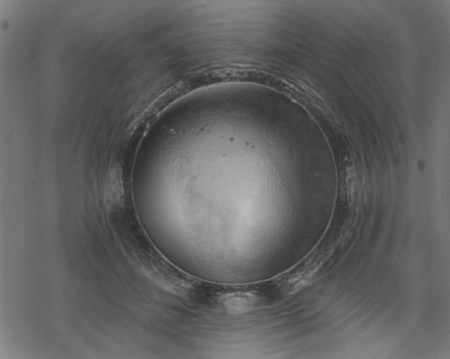 X0000068850508200605081218