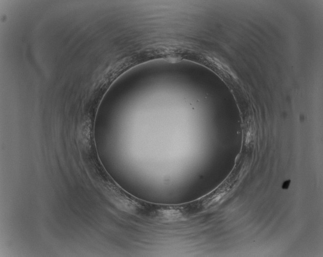 X0000068850509200605081218