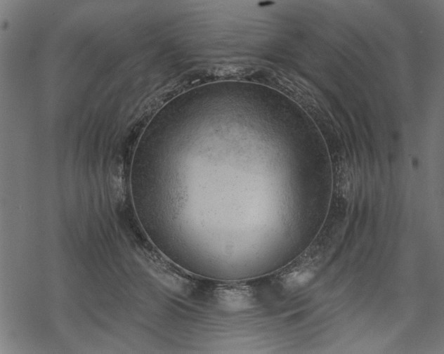 X0000068850510200605081218