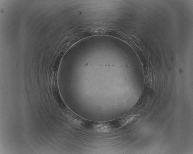 X0000068850511200605081218