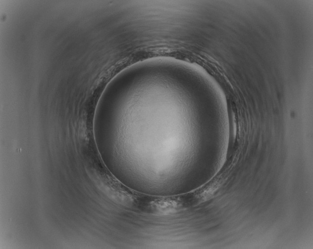 X0000068850512200605081218