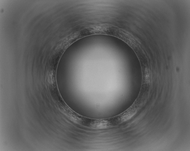 X0000068850514200605081218