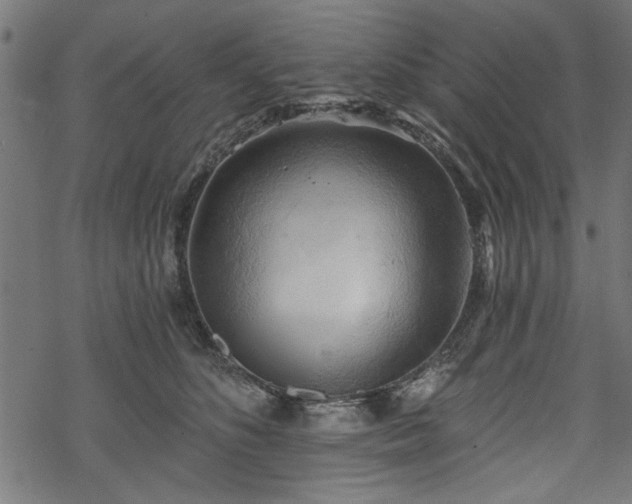 X0000068850516200605081218