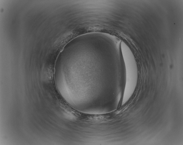 X0000068850517200605081218