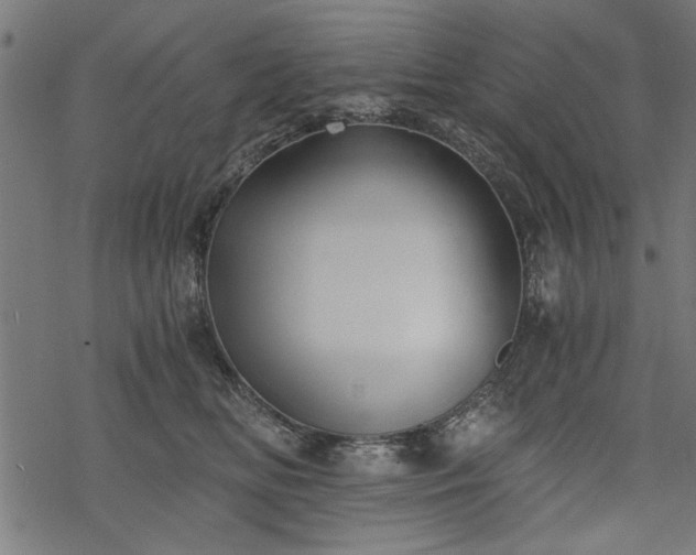 X0000068850518200605081218