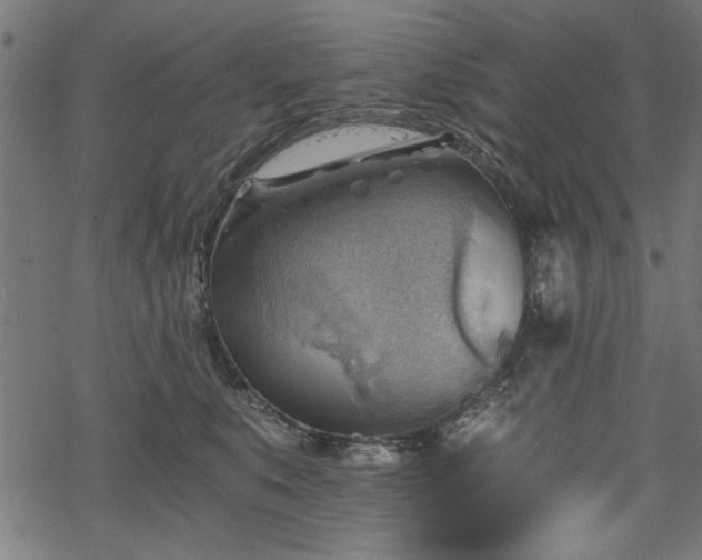 X0000068850519200605081218