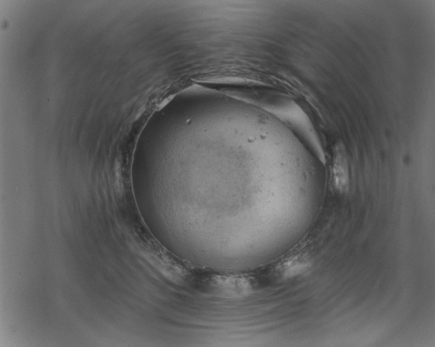 X0000068850520200605081218